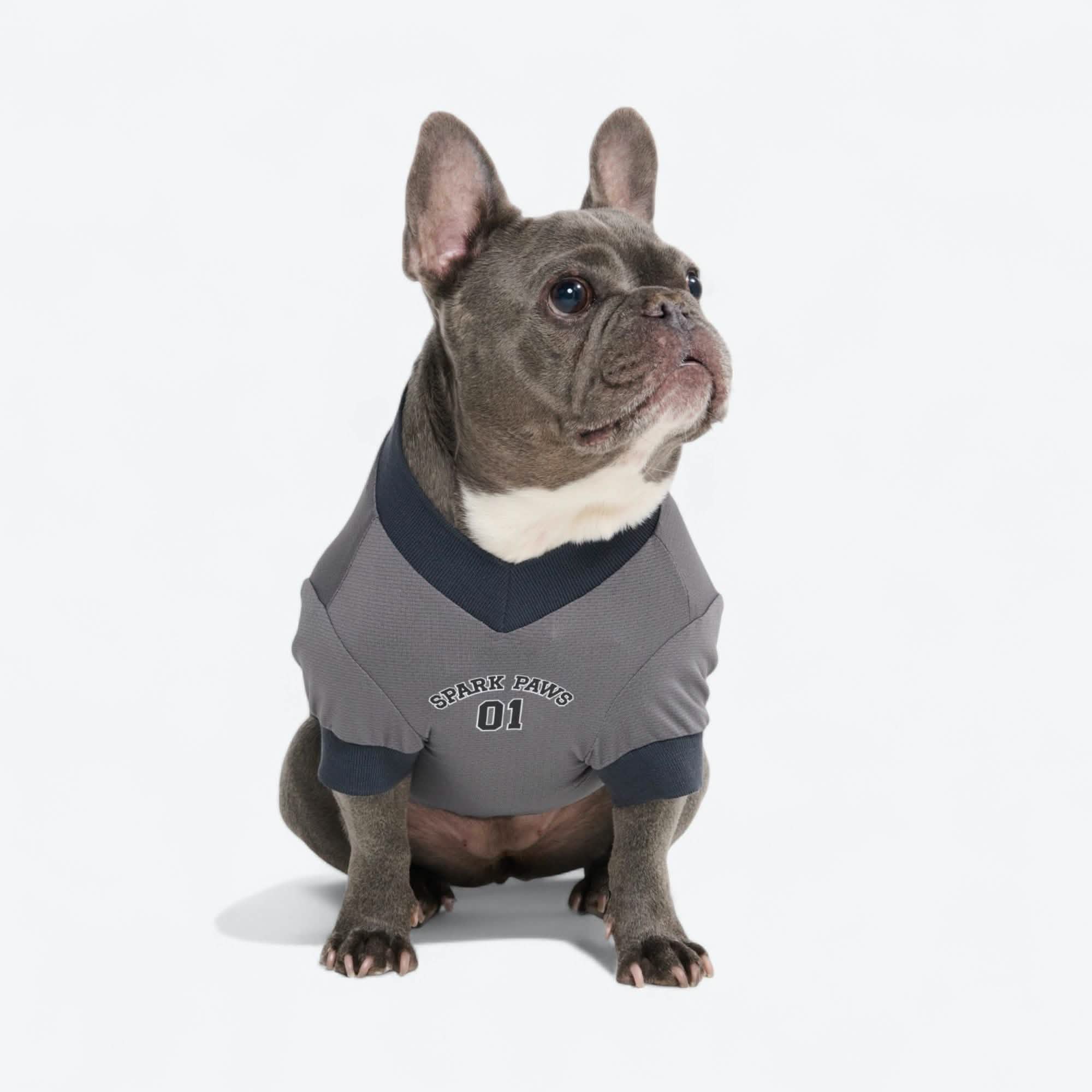 Q2-2025 - New Shirts, Cooling Vest, and Raincoats